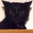Baghira14 Avatar